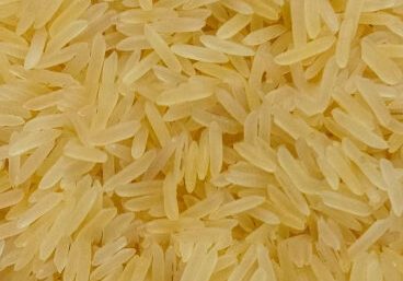 SHARBATI GOLDEN SELLA RICE
