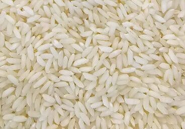 SONA MASOORI STEAM RICE