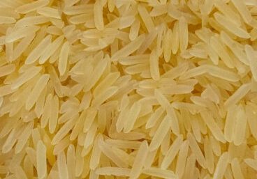 SUGANDHA GOLDEN SELLA RICE