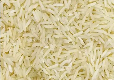 SUGANDHA RAW RICE