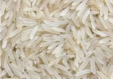 SUGANDHA WHITE SELLA RICE